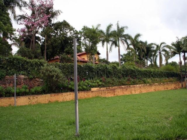 Fazenda, 49 hectares - Foto 46