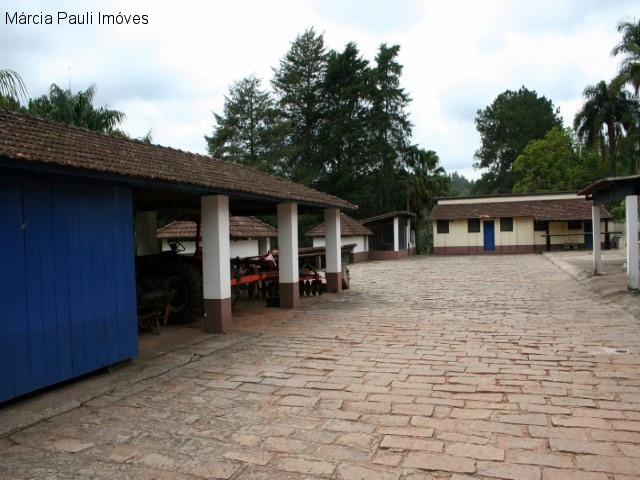 Fazenda, 49 hectares - Foto 53