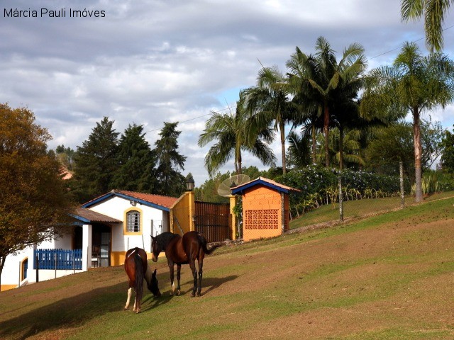 Fazenda, 49 hectares - Foto 56