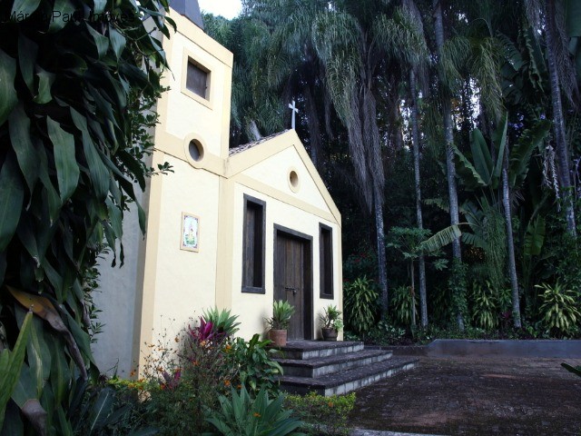 Fazenda, 49 hectares - Foto 61