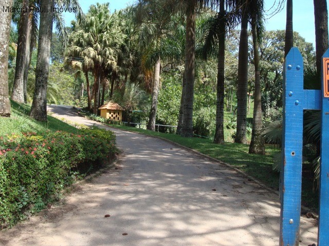 Fazenda, 49 hectares - Foto 65