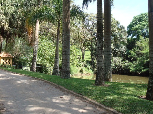 Fazenda, 49 hectares - Foto 66