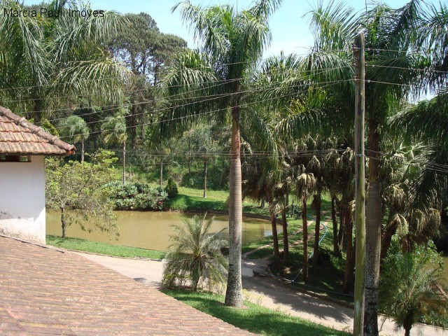 Fazenda, 49 hectares - Foto 68