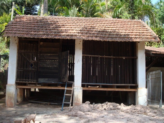 Fazenda, 49 hectares - Foto 72