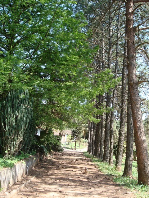 Fazenda, 49 hectares - Foto 74