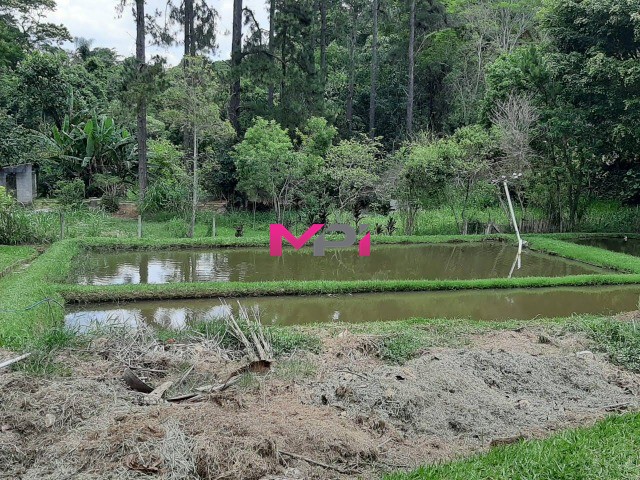 Chácara, 4 quartos, 162 m² - Foto 29