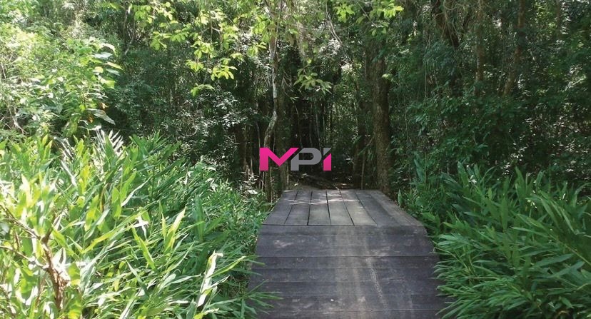 Terreno, 404 m² - Foto 26