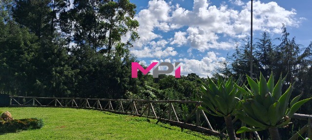 Chácara à venda com 4 quartos, 140m² - Foto 15