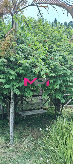 Chácara à venda com 4 quartos, 140m² - Foto 27