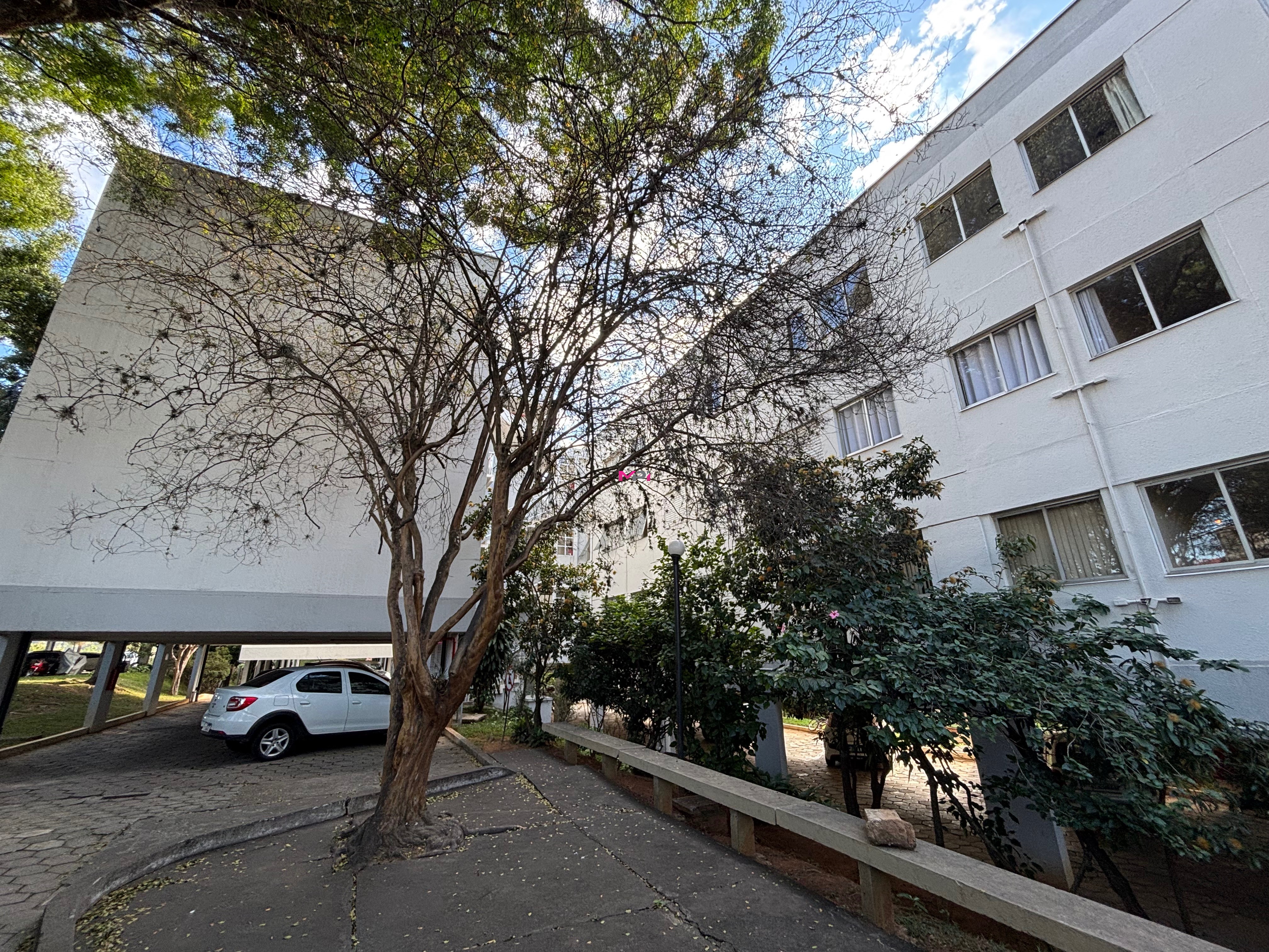 Apartamento, 3 quartos, 60 m² - Foto 31