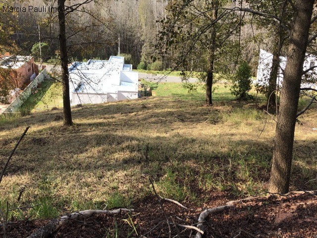 Terreno à venda, 1050m² - Foto 5