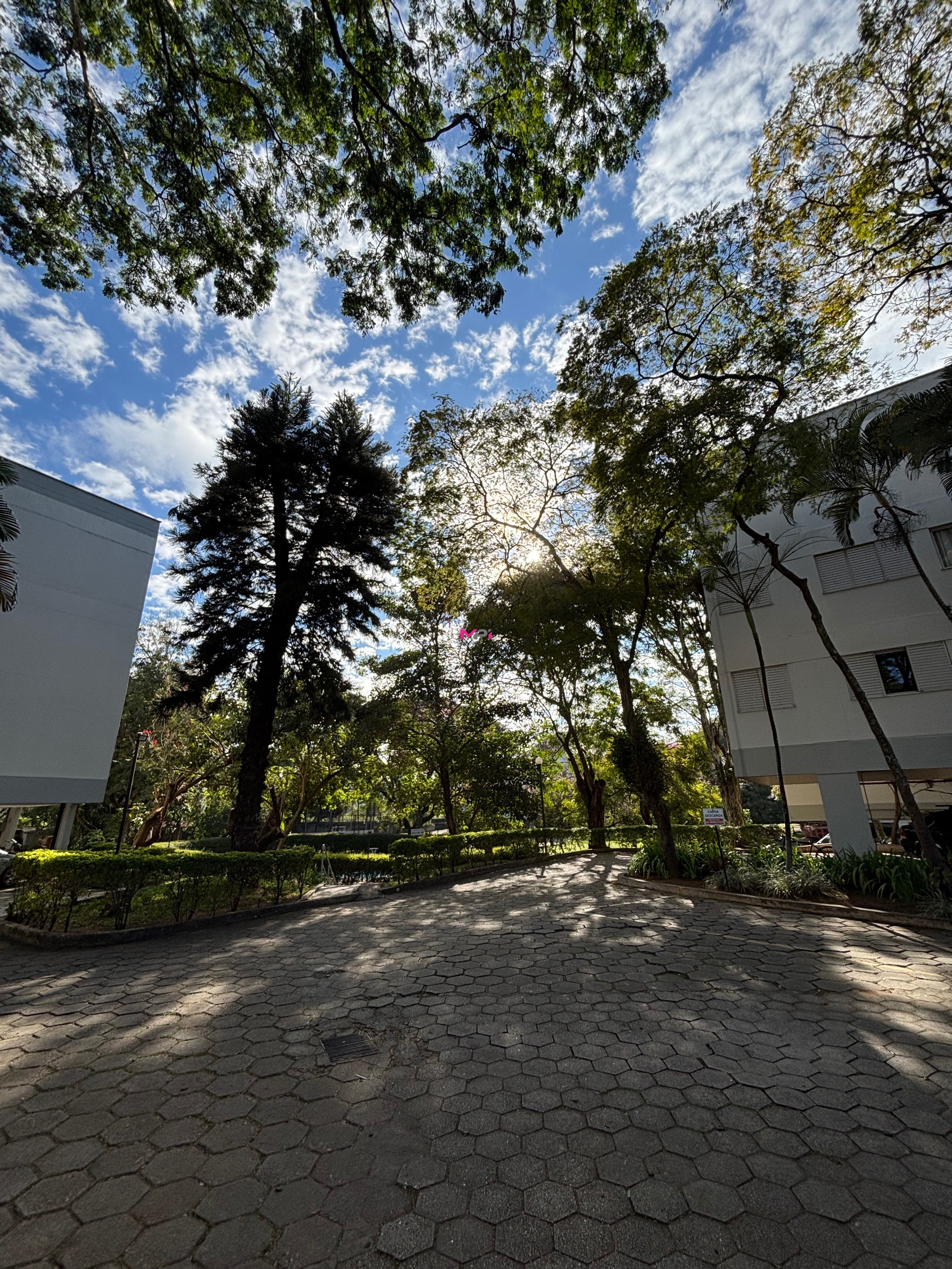 Apartamento, 3 quartos, 60 m² - Foto 30