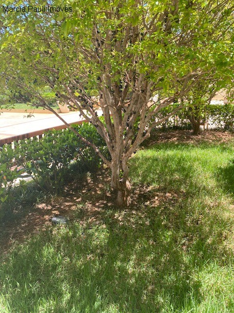 Apartamento, 4 quartos, 296 m² - Foto 36