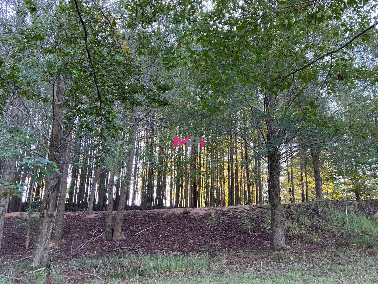 Terreno à venda, 1000m² - Foto 5