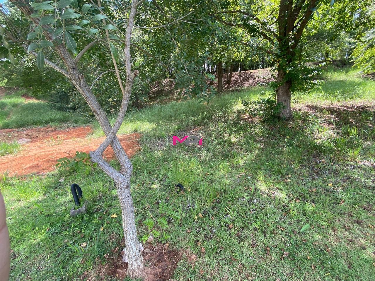 Terreno à venda, 1000m² - Foto 4