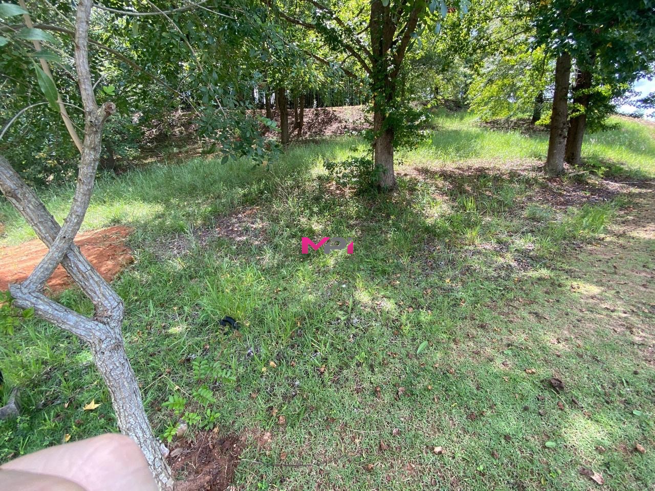 Terreno à venda, 1000m² - Foto 2