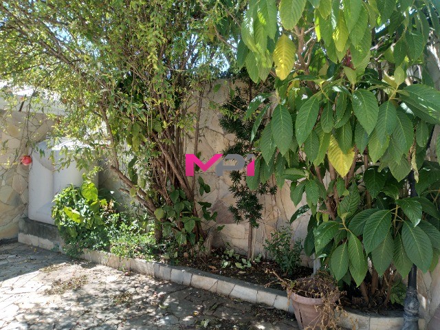 Casa, 3 quartos, 194 m² - Foto 34