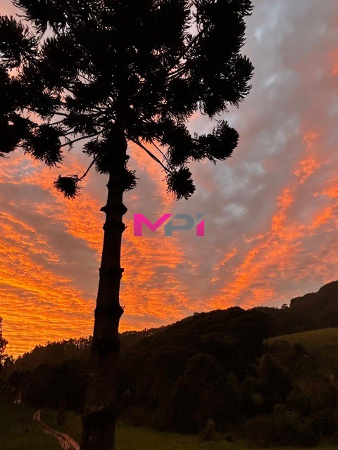 Sítio, 5 quartos, 13 hectares - Foto 9