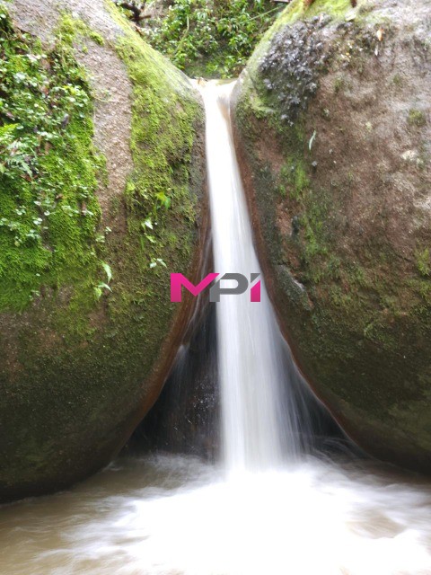 Sítio, 5 quartos, 13 hectares - Foto 6