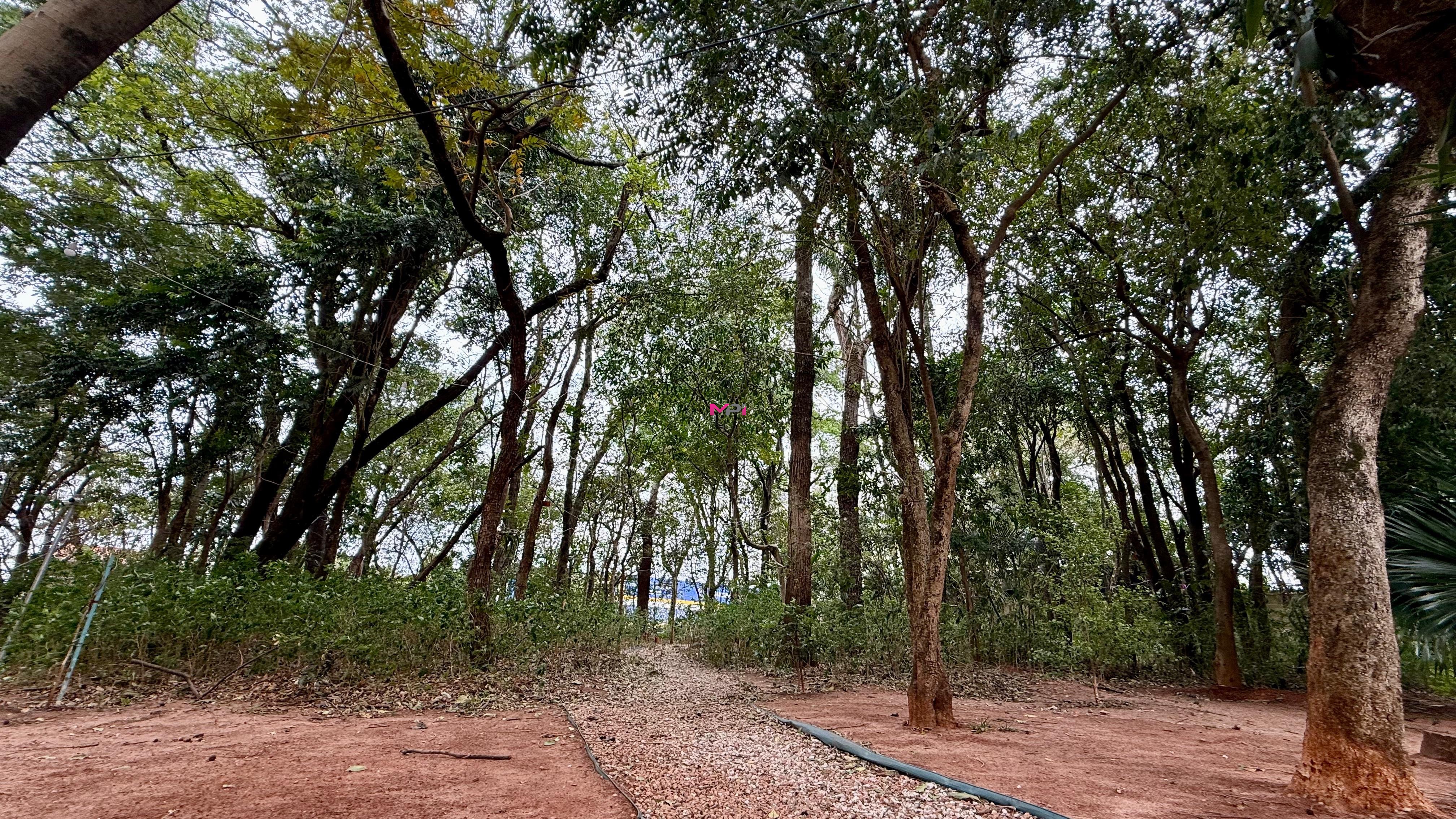 Apartamento, 3 quartos, 82 m² - Foto 35