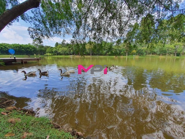 Terreno, 350 m² - Foto 17