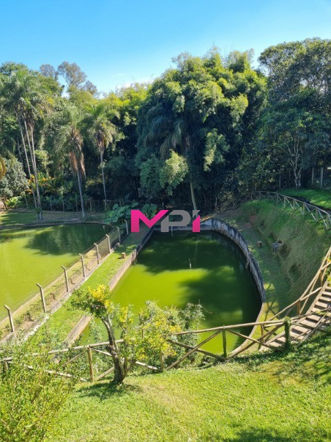 Chácara à venda com 3 quartos, 3000m² - Foto 5