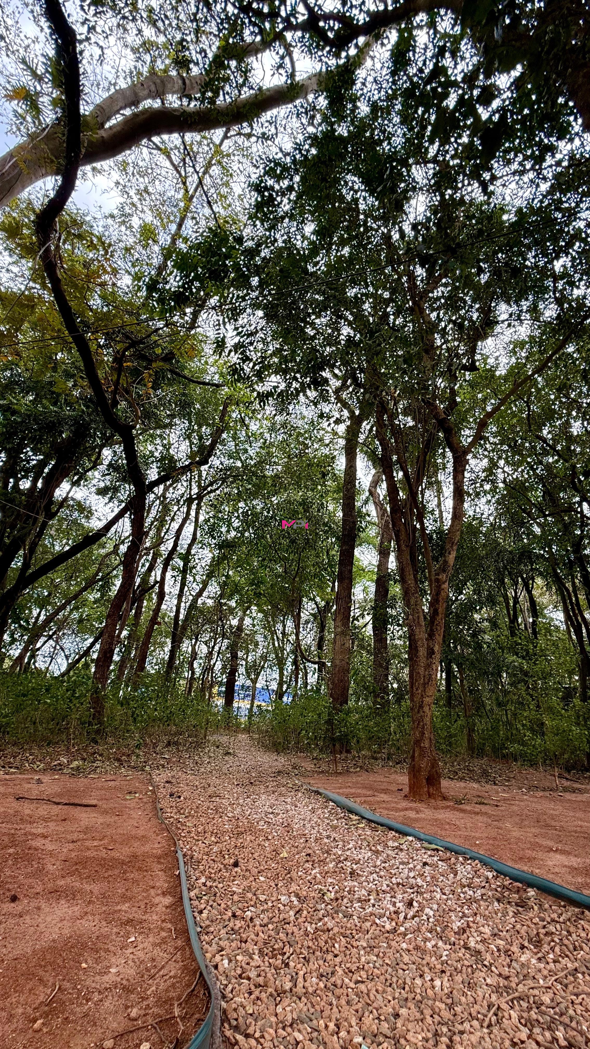 Apartamento, 3 quartos, 82 m² - Foto 39