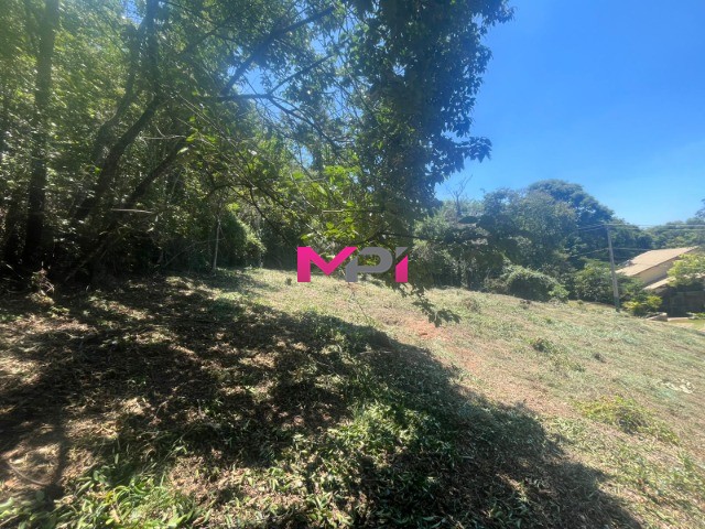 Terreno, 6147 m² - Foto 22