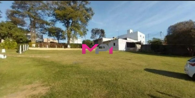 Chácara, 2 quartos, 8629 m² - Foto 2