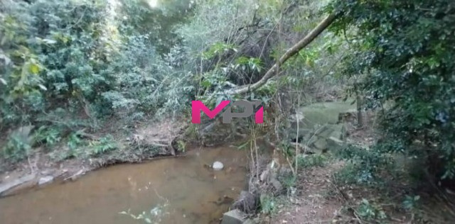 Chácara, 2 quartos, 8629 m² - Foto 13