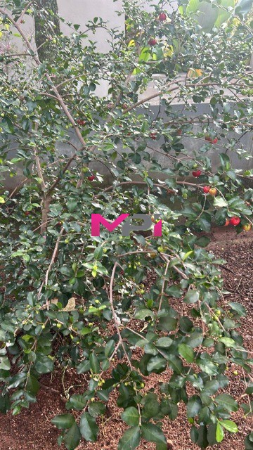 Casa de Condomínio, 3 quartos - Foto 48