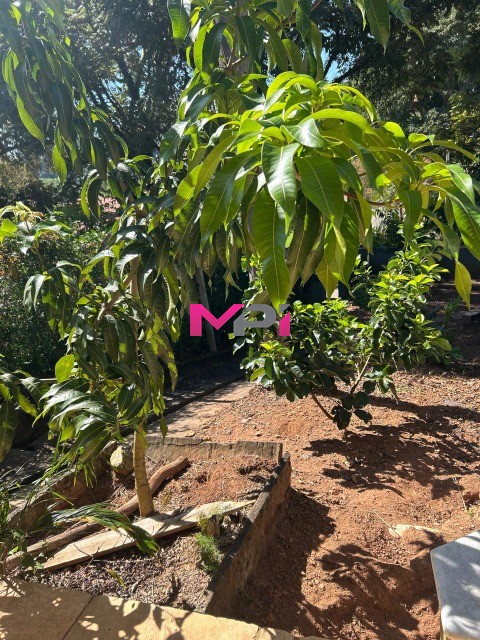 Casa de Condomínio, 3 quartos - Foto 55