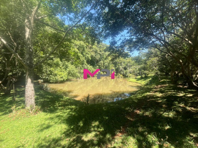 Terreno, 6147 m² - Foto 20