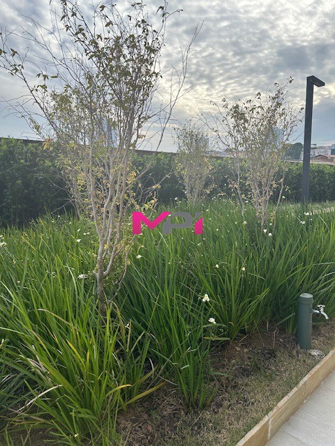 Apartamento, 3 quartos, 152 m² - Foto 38