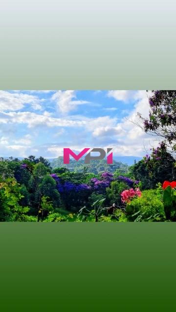 Chácara, 6 quartos, 2 hectares - Foto 28