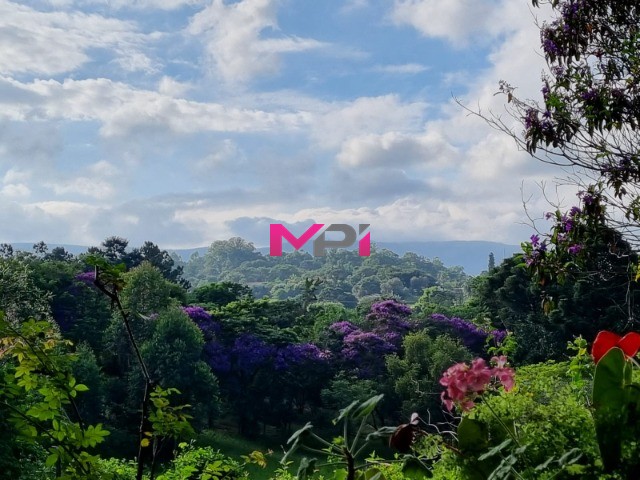 Chácara, 6 quartos, 2 hectares - Foto 16