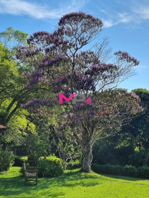 Chácara, 6 quartos, 2 hectares - Foto 27