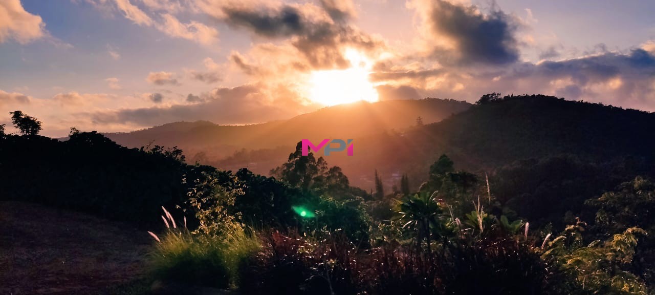 Chácara, 2 quartos, 1500 m² - Foto 21