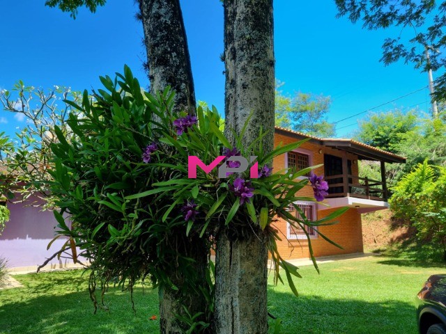 Chácara, 6 quartos, 2 hectares - Foto 25