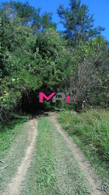 Fazenda, 21 hectares - Foto 22