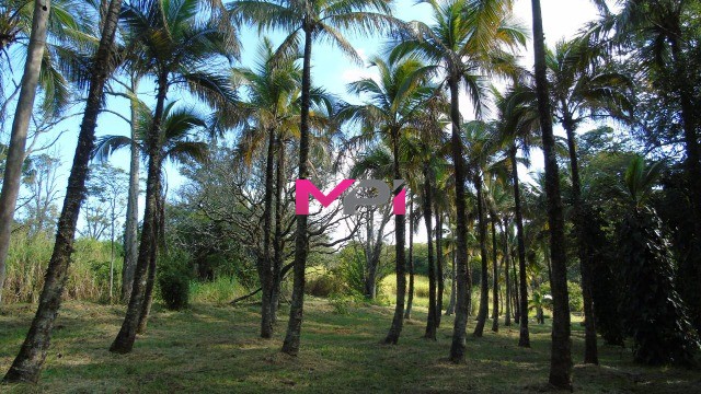 Fazenda, 21 hectares - Foto 25