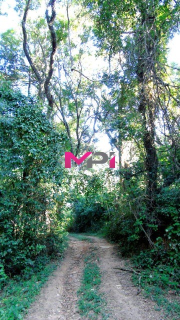 Fazenda, 21 hectares - Foto 26