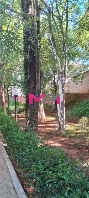 Apartamento, 2 quartos, 54 m² - Foto 33