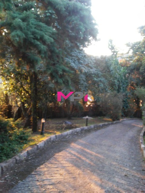Sítio, 6 quartos, 3000 m² - Foto 56