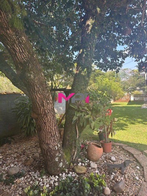 Sítio, 3 quartos, 1000 m² - Foto 35