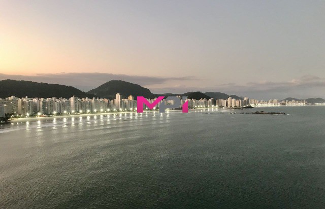 Cobertura, 4 quartos, 317 m² - Foto 48