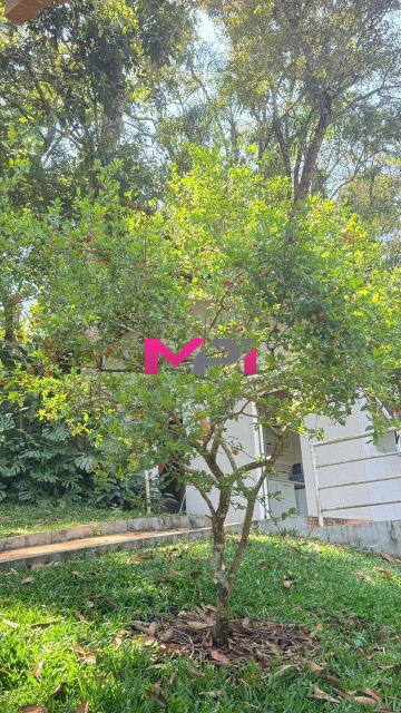 Casa de Condomínio, 5 quartos - Foto 19