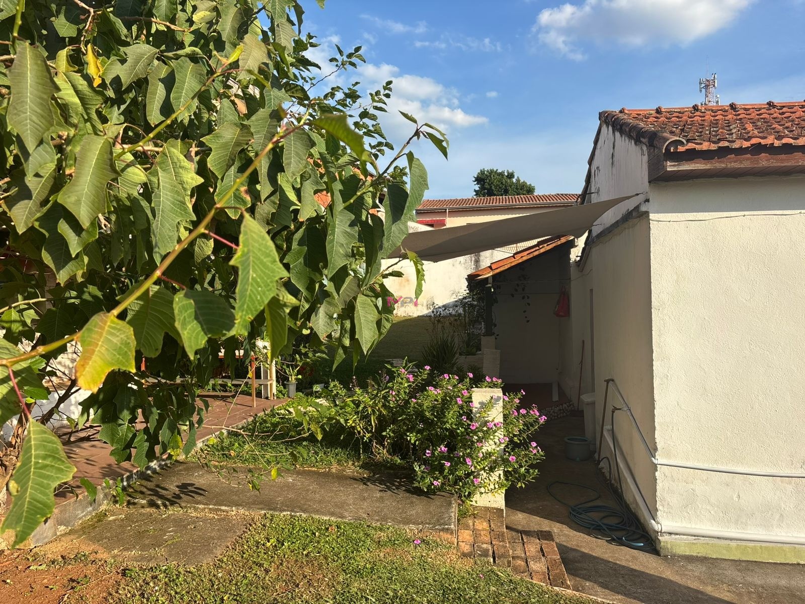 Casa, 4 quartos, 215 m² - Foto 36