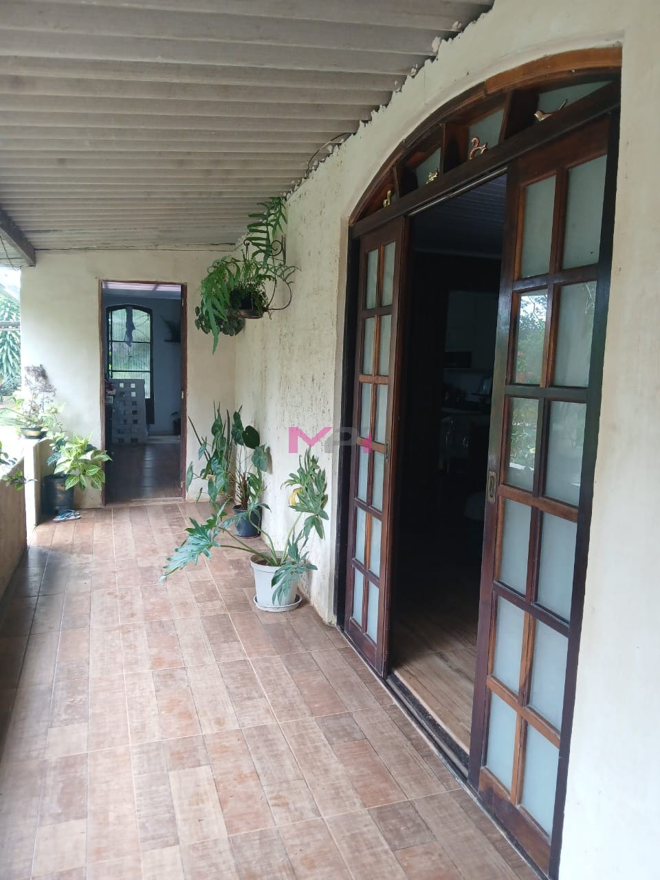Foto 7