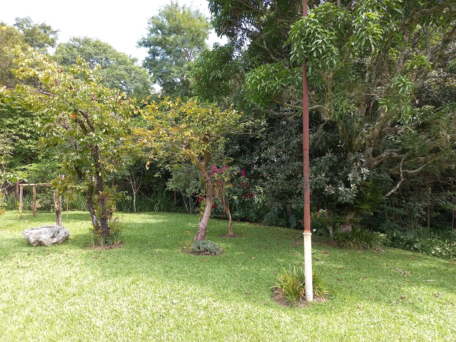 Foto 6
